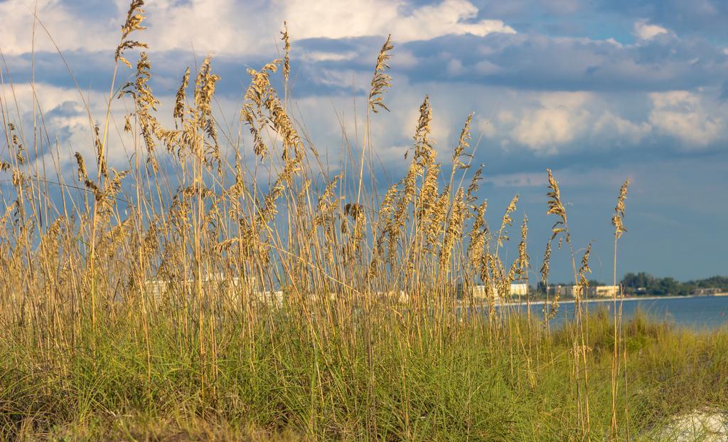 Minorga On The Key By Beachside Management Siesta Key Buitenkant foto